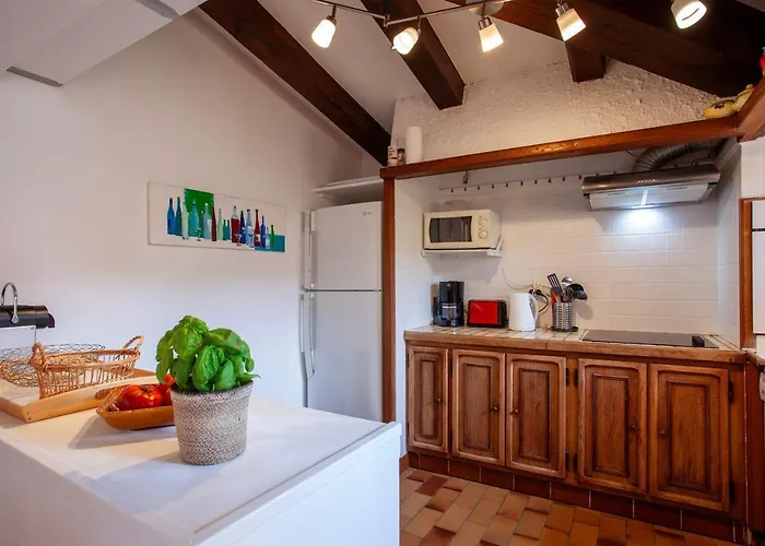 Davia 2 - Grande Terrasse Vue * Corbara